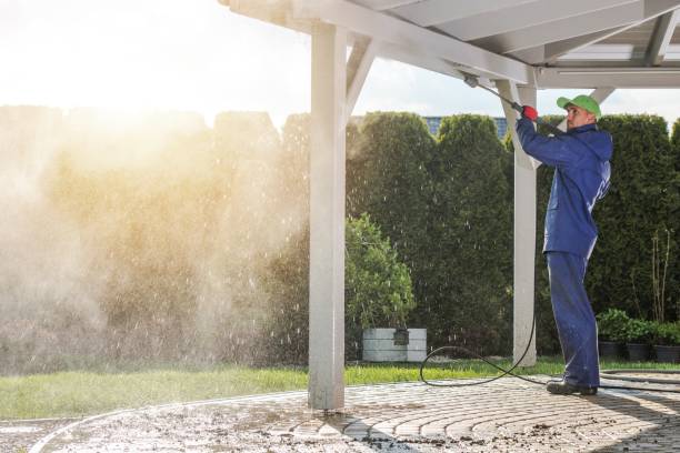Best Animal Enclosure Cleaning  in Woodville, WI