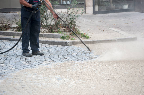 Best Building Exterior Washing  in Woodville, WI