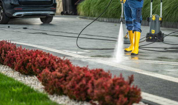 Best Soft Washing  in Woodville, WI
