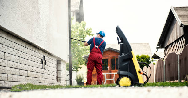 Best Solar Panel Cleaning  in Woodville, WI